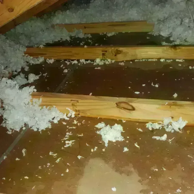 Attic Water Damage in Harlingen, TX